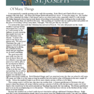 November 19, 2020 Parish Update