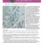 16 December 2021 Parish Update